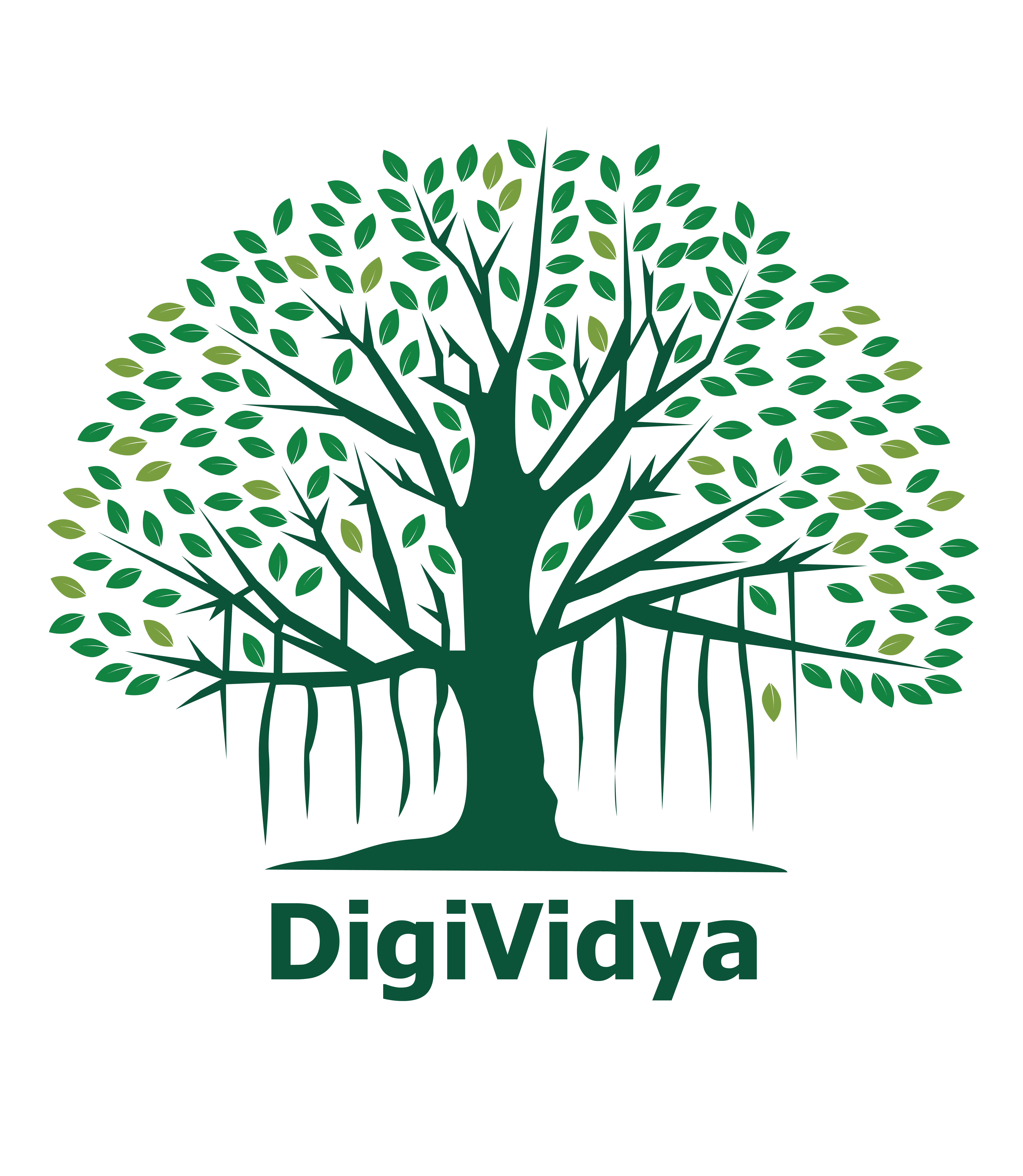 DigiVidya Logo
